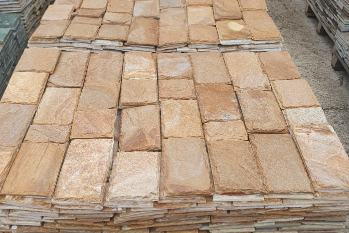 Yellow gneiss 10 L Buna